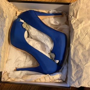 Badgley Mischka shoes, size 10, royal blue
